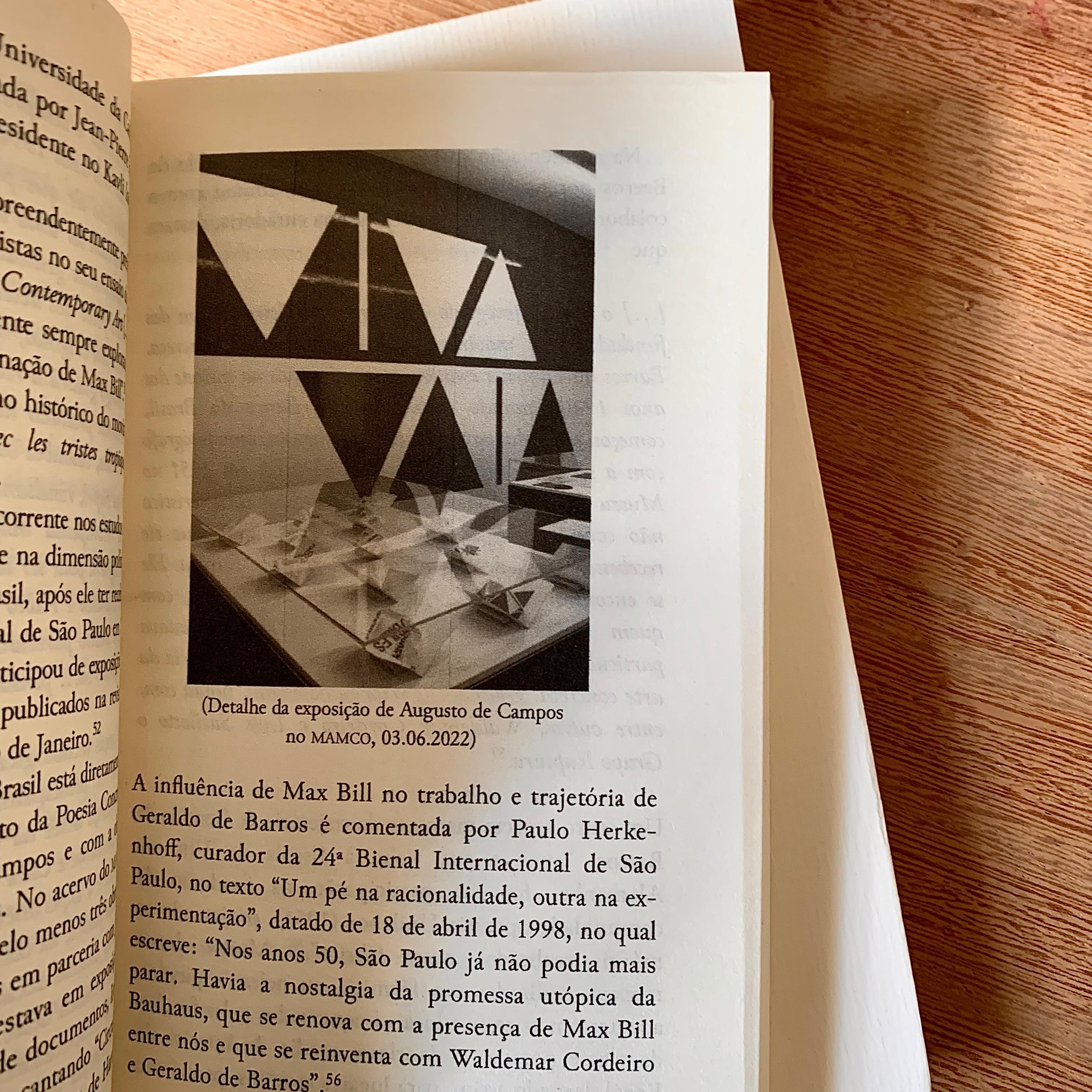 VEREDAS FREIREANAS: ARTE, ECOLOGIA E PANDEMIA | MARCOS REIGOTA 