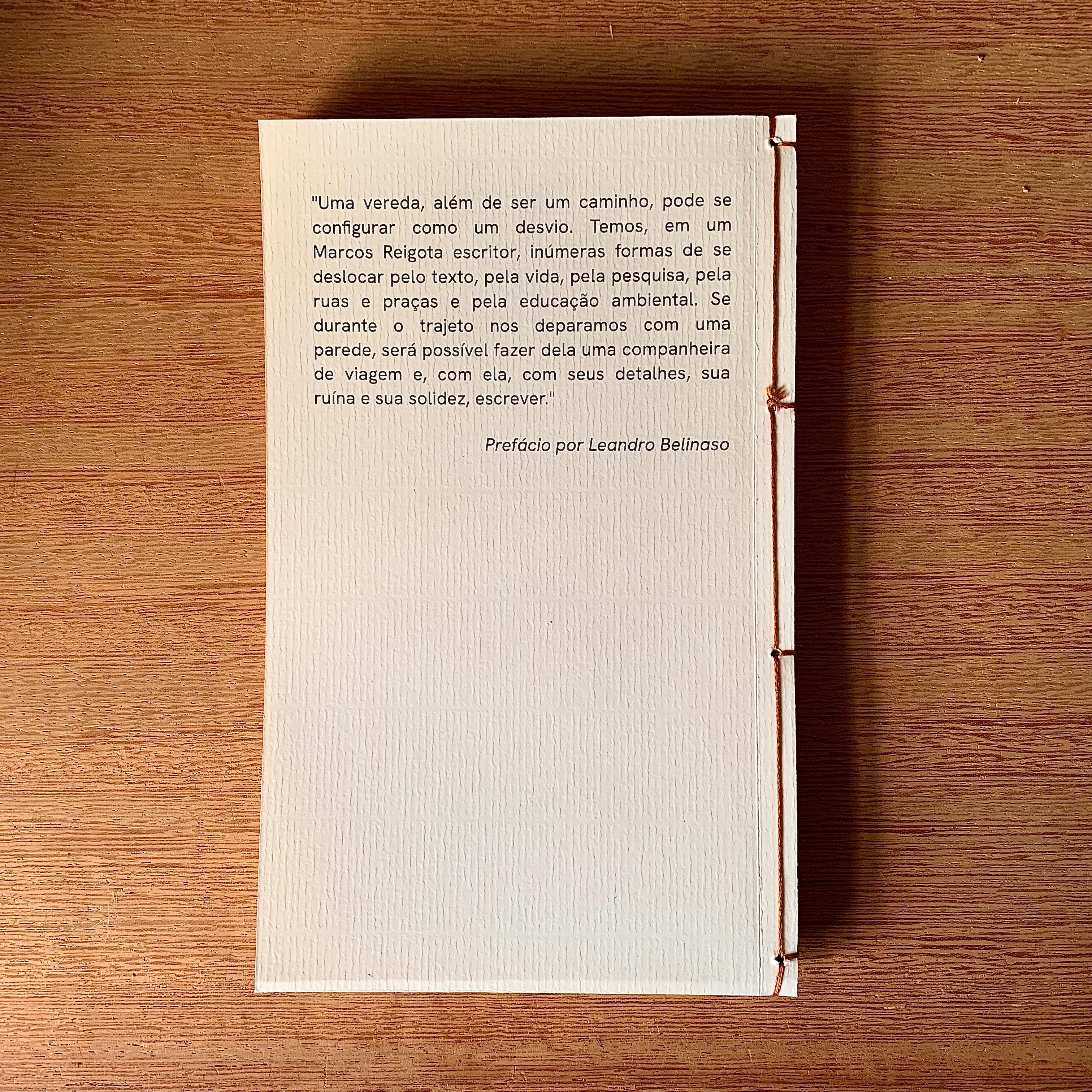 VEREDAS FREIREANAS: ARTE, ECOLOGIA E PANDEMIA | MARCOS REIGOTA 