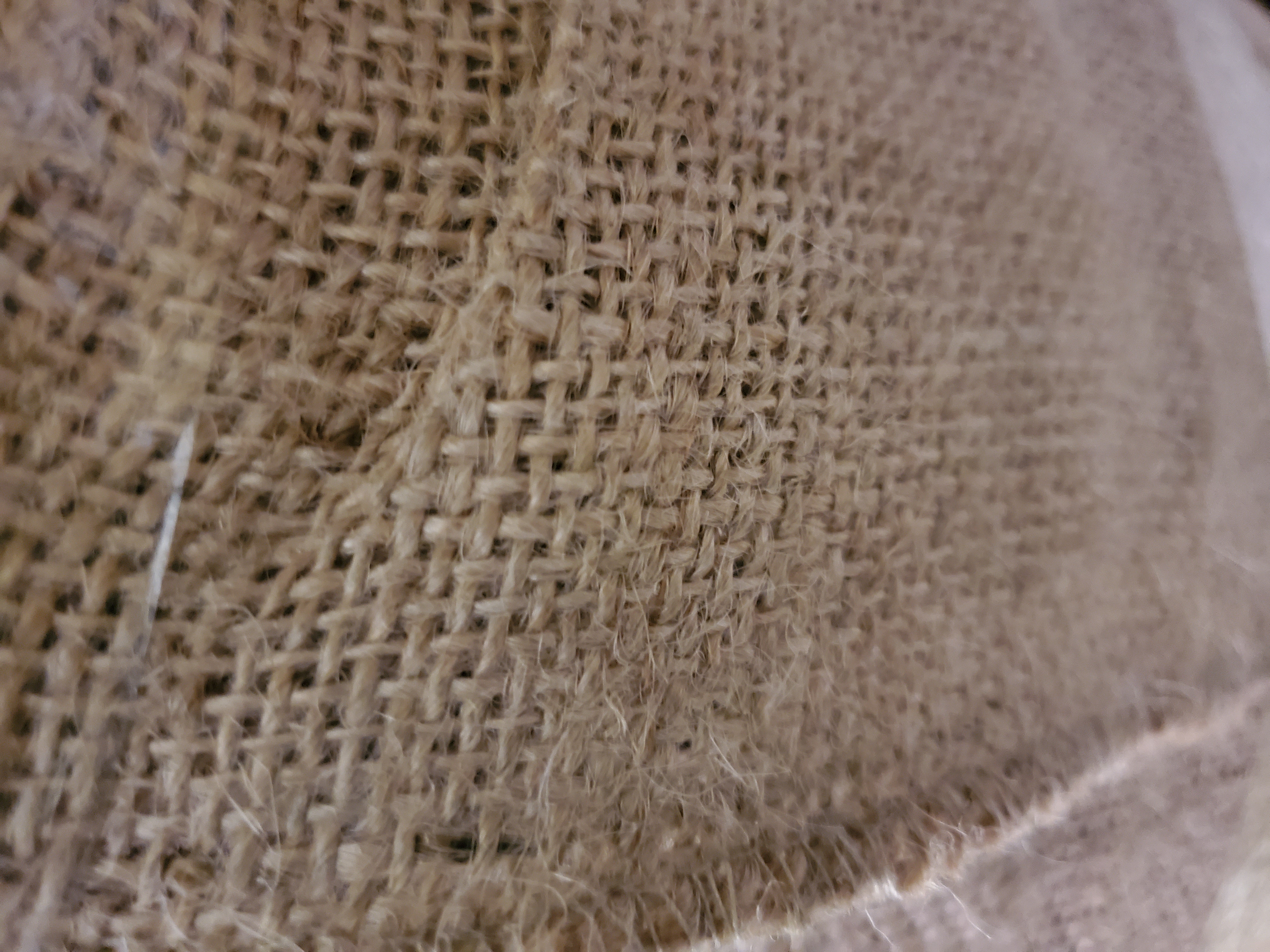 Burlap
