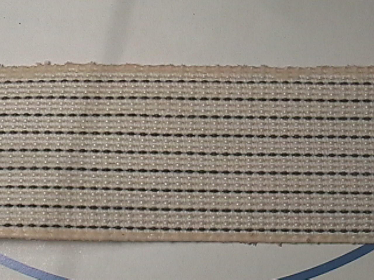 Elastic Latex Based 2" Seat Webbing