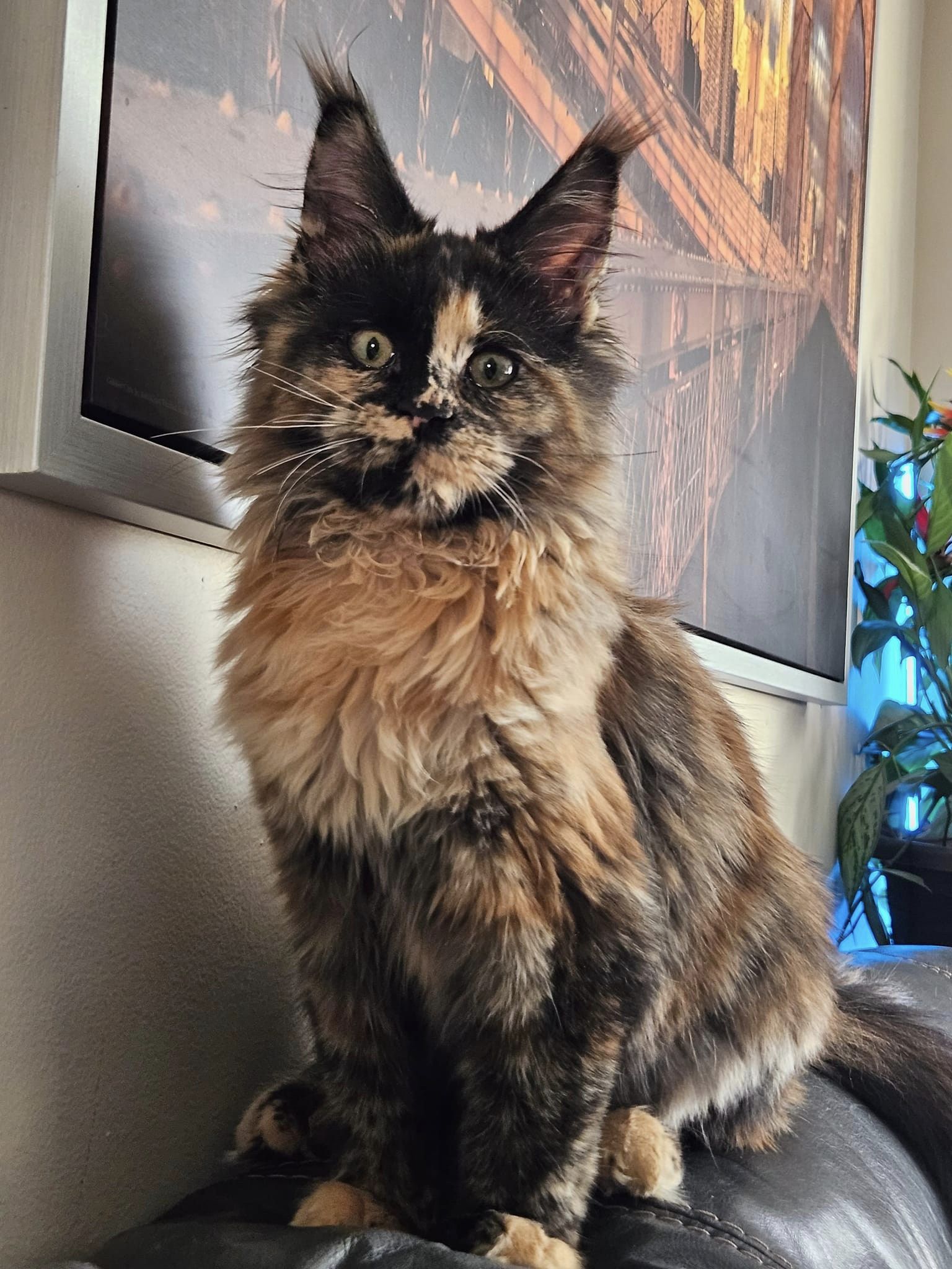 Esme
