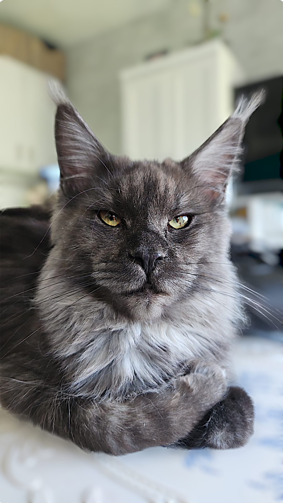 Chloe