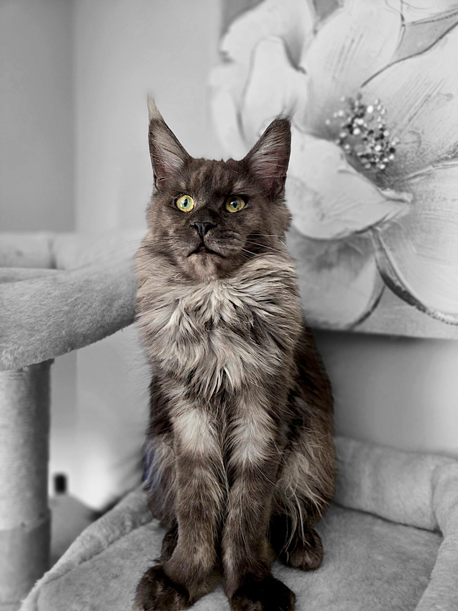 Chloe