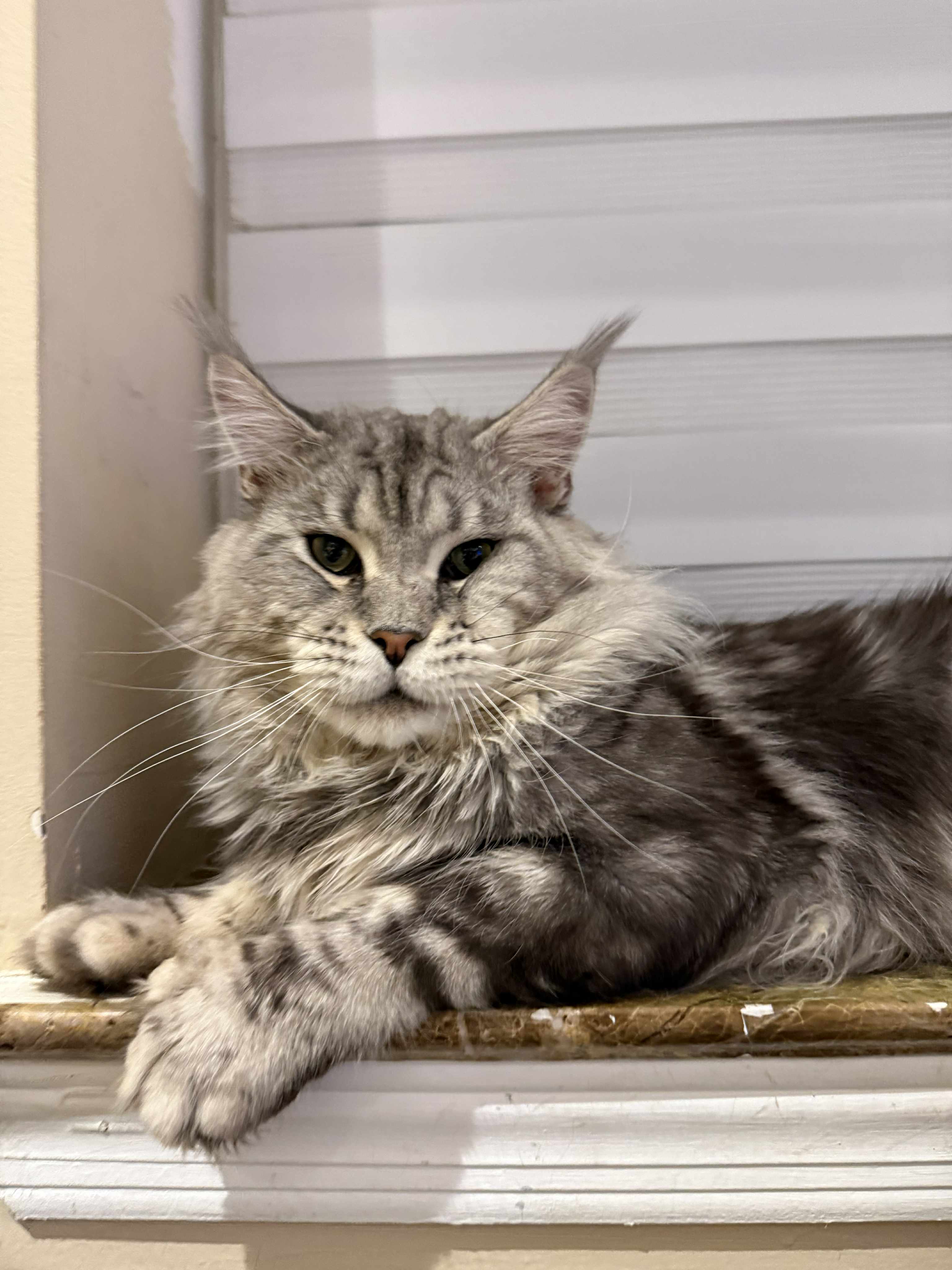 Caesar