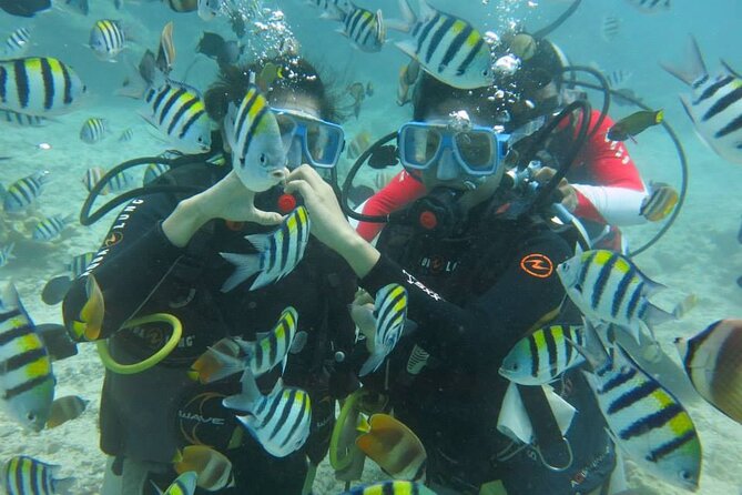 BORACAY SCUBA DIVING WITH PICTURES & VIDEO