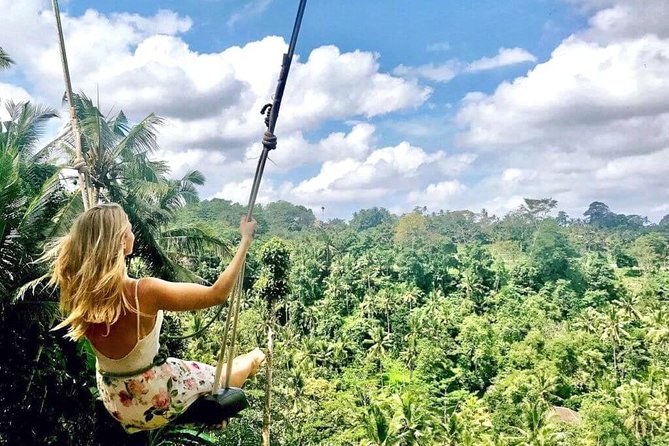 Bali Gate Of Heaven, Jungle Swing & Waterfall Private Tour with Entry Fee (Minimum of 2 persons) In Ubod, Indonesia