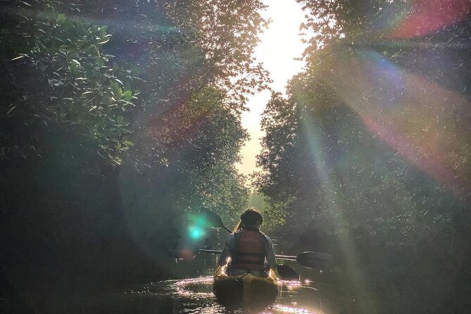 Sunset Mangrove Kayaking Experience in Borneo for 2 In Kota Linabalu, Malaysia