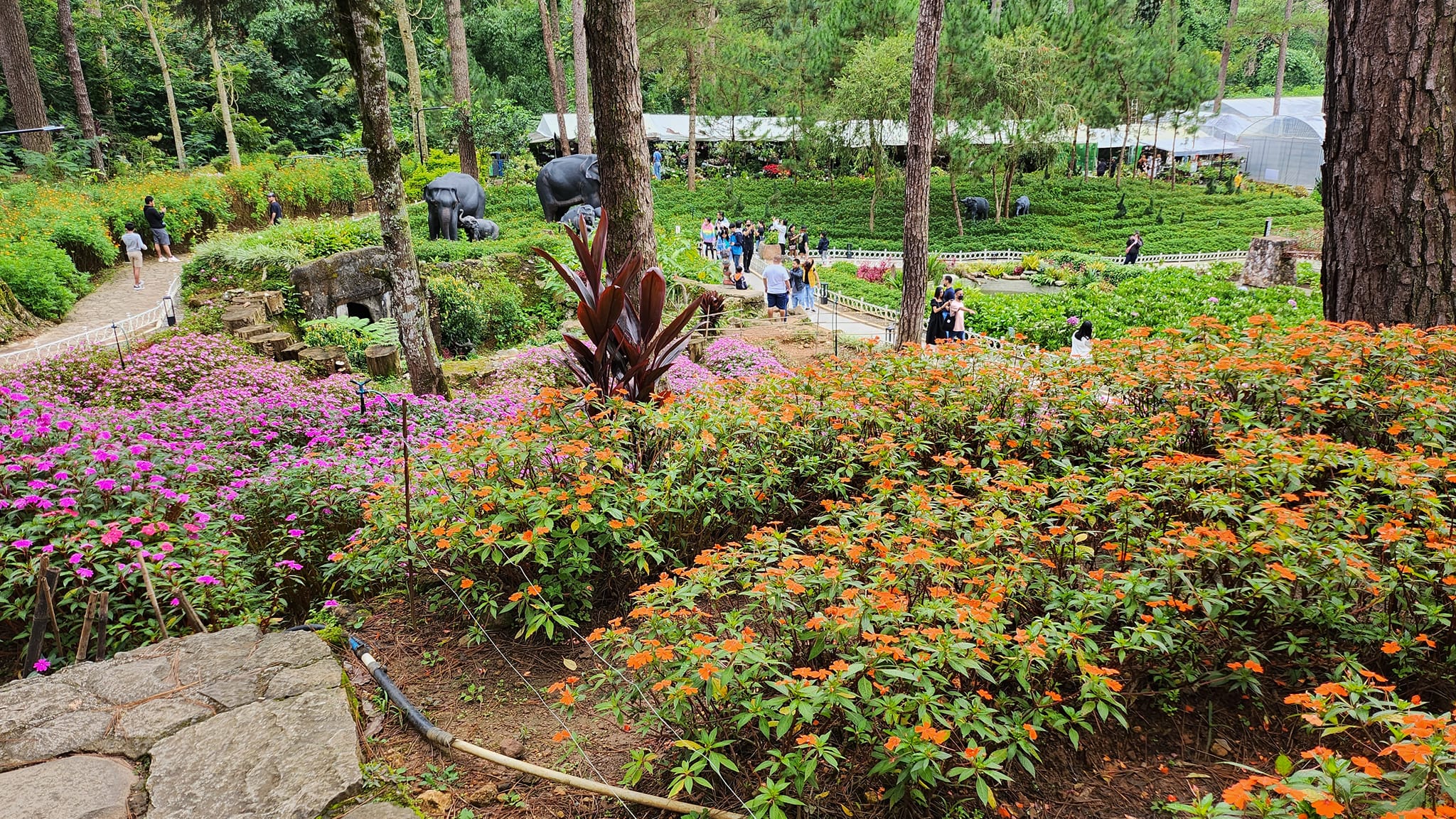 6 Days Amazing Baguio Experience for 5 Persons 