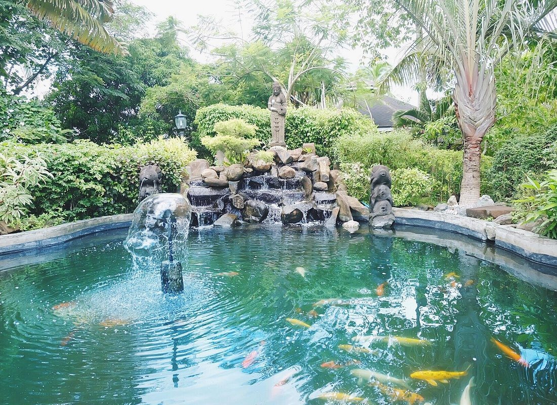 Cintai Corito's Garden Day Pass In Batangas