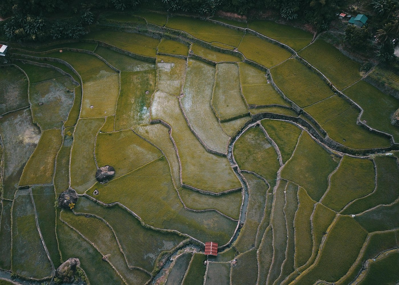 5 Days Sagada Banaue Batad Discovery (PRIVATE GROUP TOUR Max 6 Travellers)