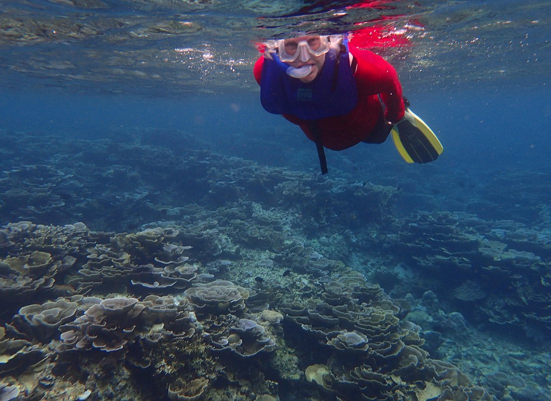 Anilao Snorkel Safari: Explore the Amazing Underwater World