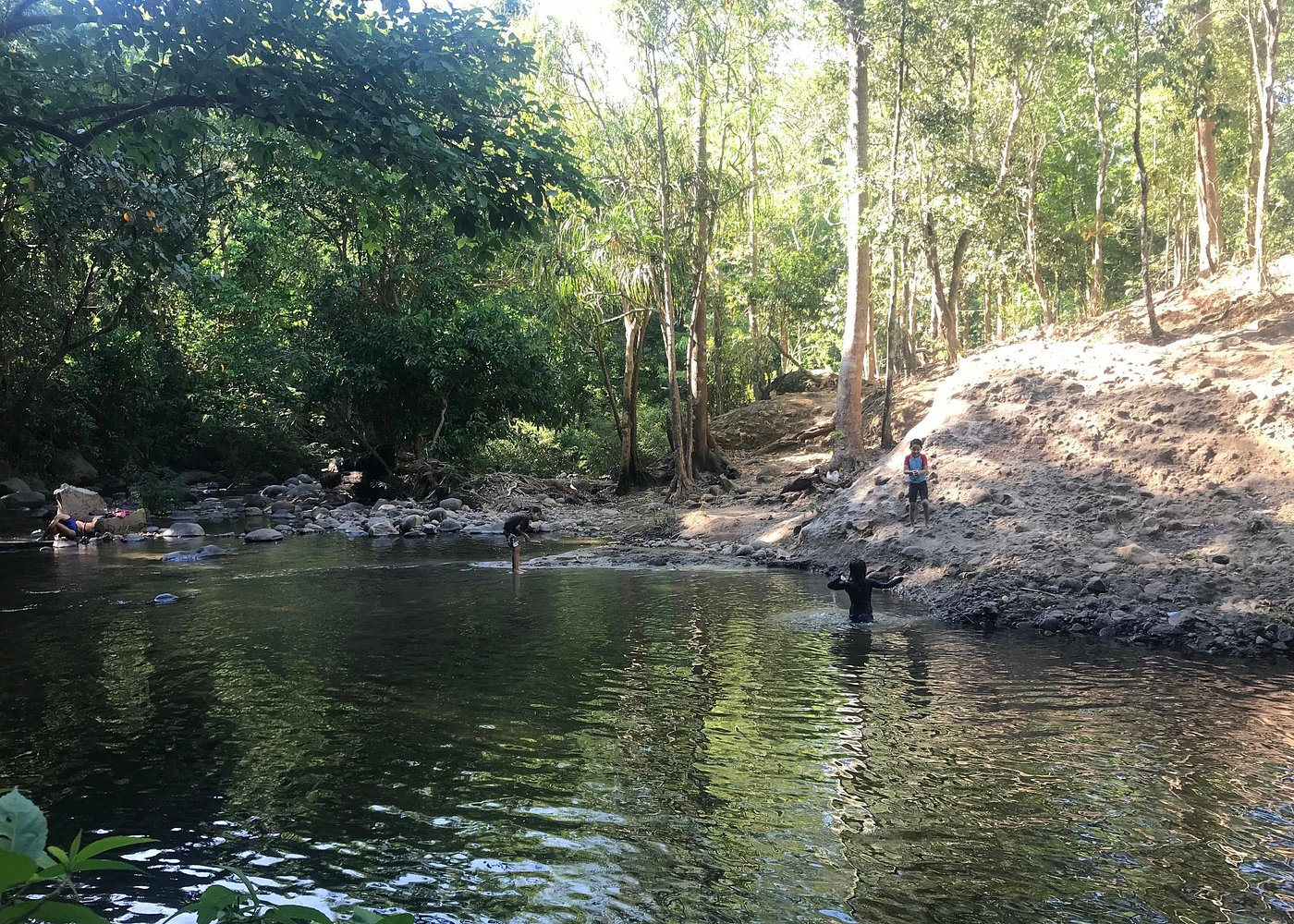 Subic Bay Jungle Survival Basic Skills