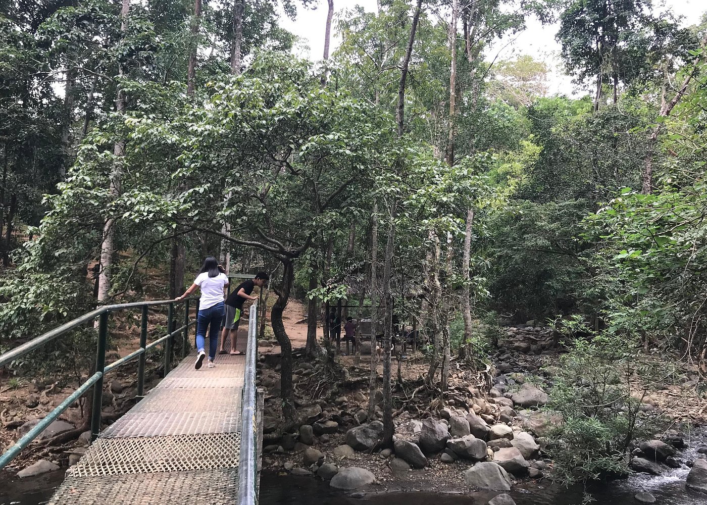 Subic Bay Jungle Survival Basic Skills