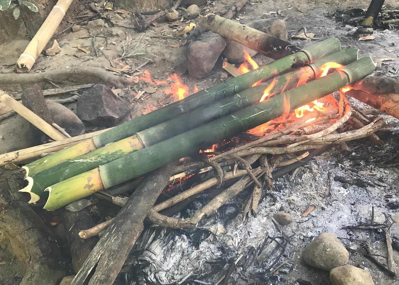 Subic Bay Jungle Survival Basic Skills