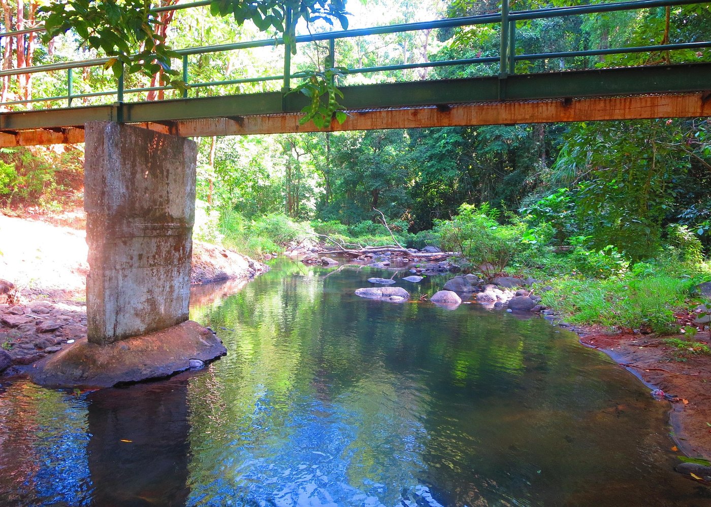 Indigenous Forest experience Manila