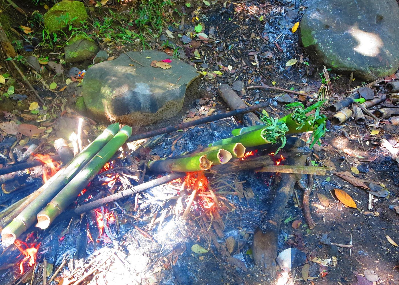 Indigenous Forest experience Manila