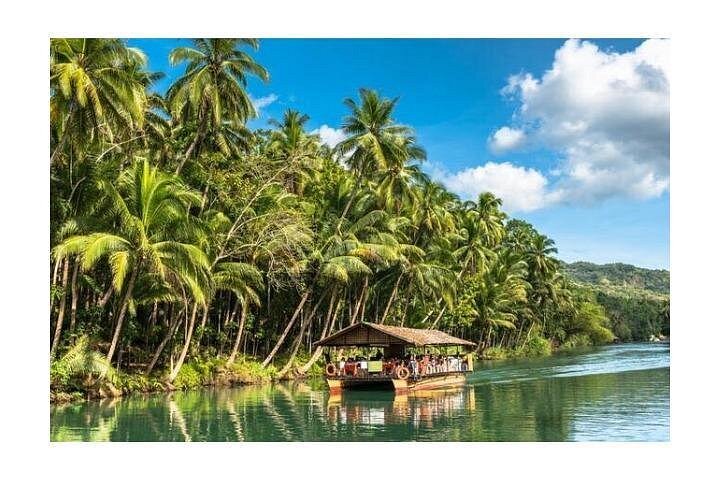 Chocolate hills tour with Tarsier & Loboc river Buffet Lunch (half-day tour)