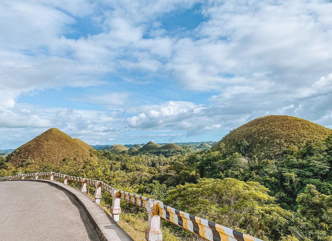 Bohol Chocolate hills and Nature tour