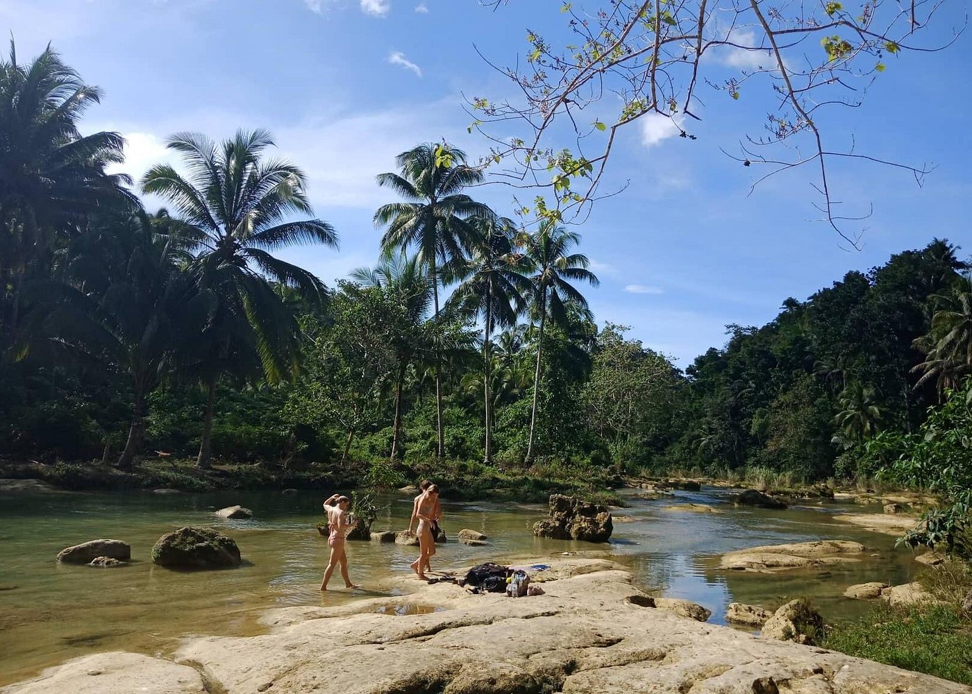 Bohol Chocolate hills and Nature tour