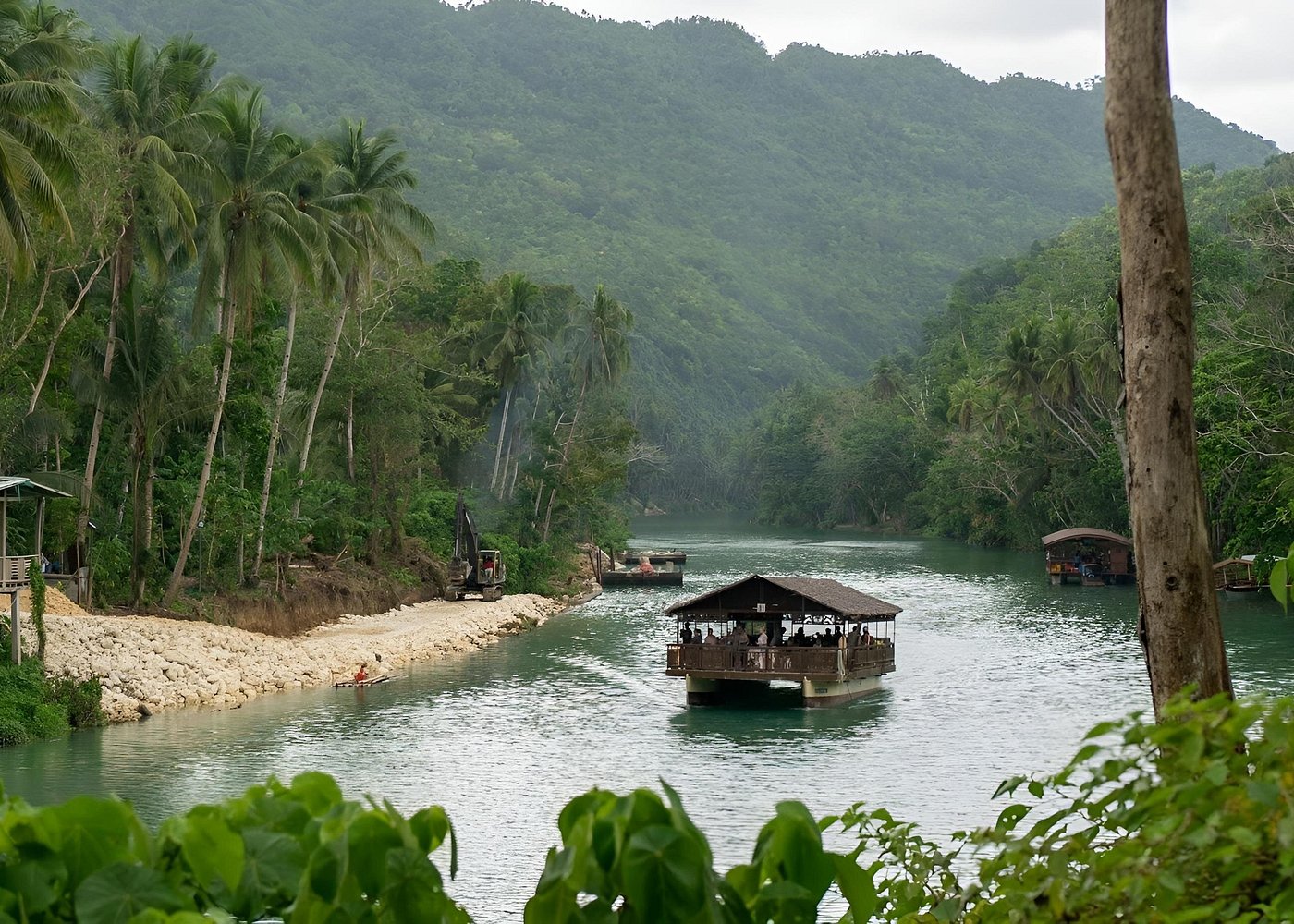 Bohol Chocolate hills and Nature tour
