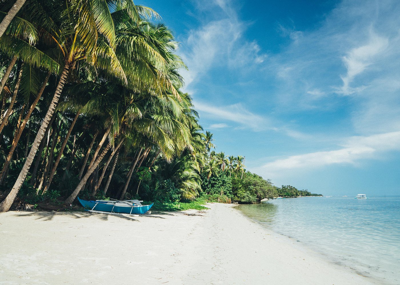 Panglao Island Bohol Day Tour (Hinagdanan Cave Dauis, Bohol Bee Farm)