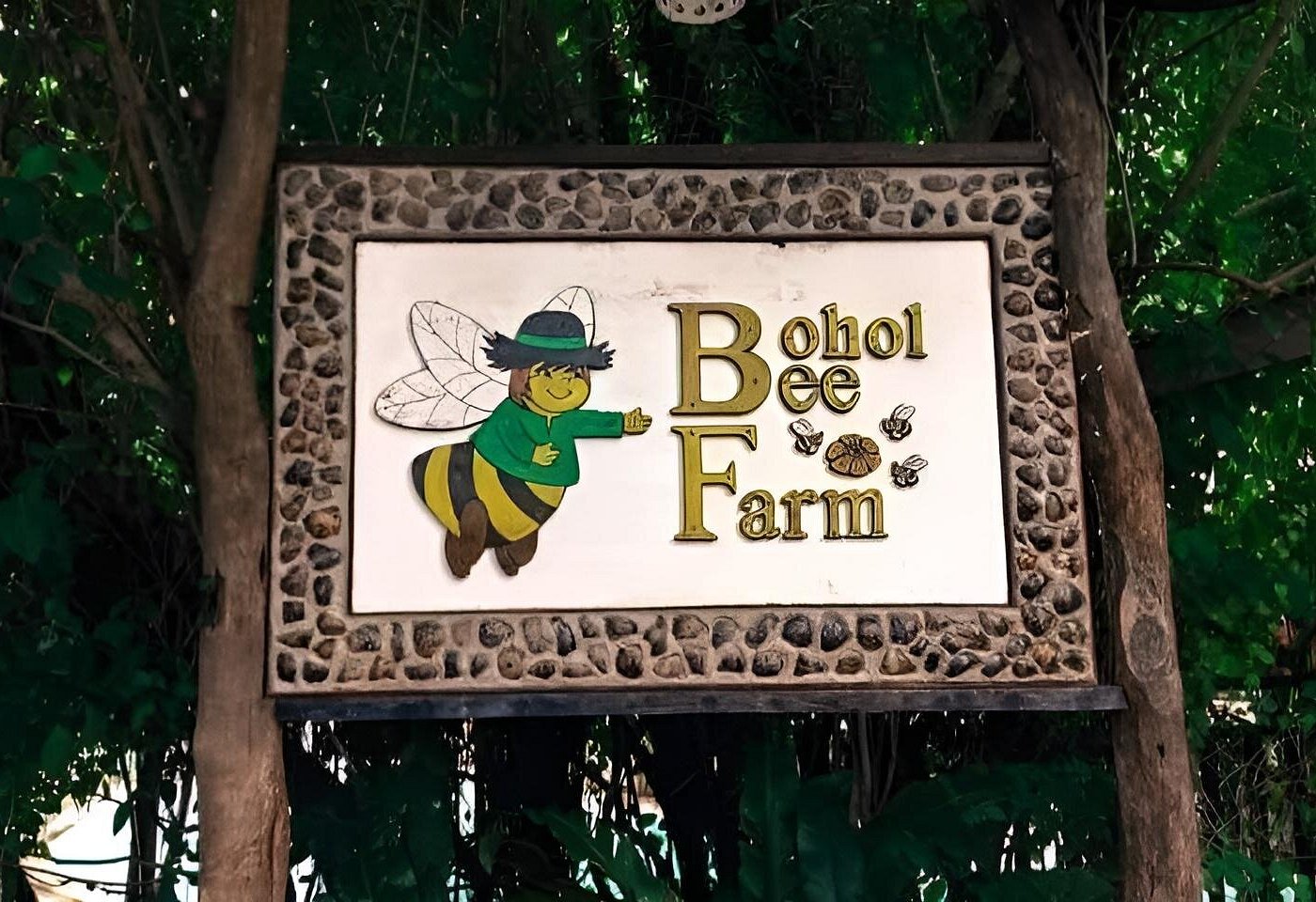 Panglao Island Bohol Day Tour (Hinagdanan Cave Dauis, Bohol Bee Farm)