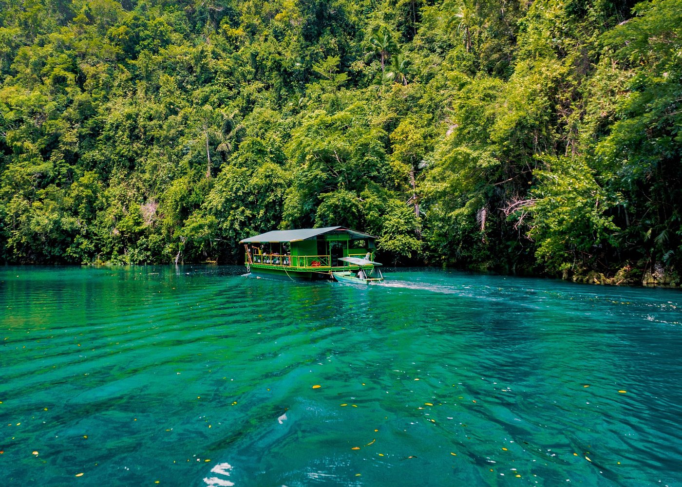 The tour of the must-see sites of Bohol