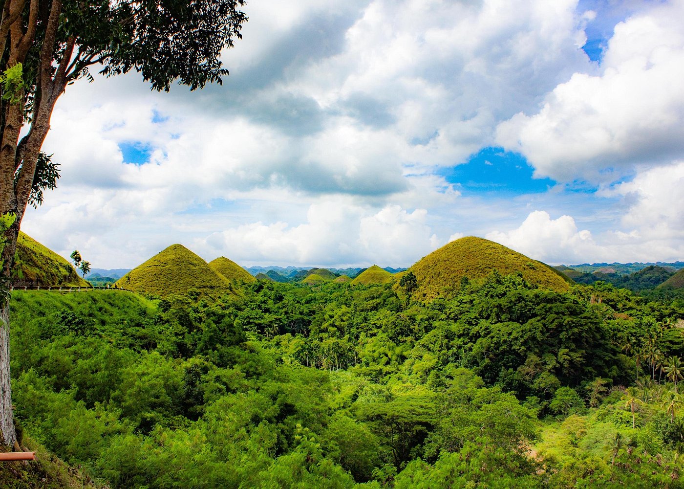 The tour of the must-see sites of Bohol