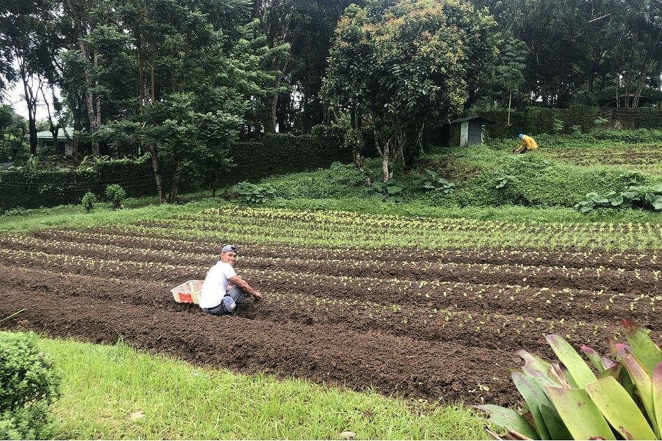 PanoramicTagaytay Ridge Tour from Manila
