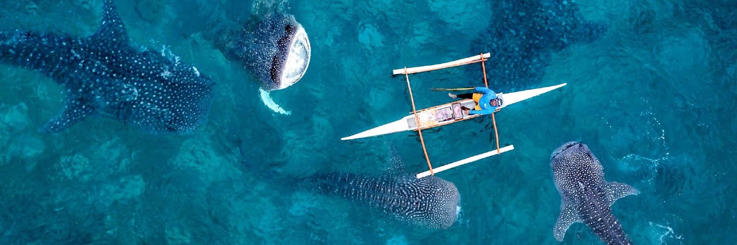 4D3N CEBU City Package