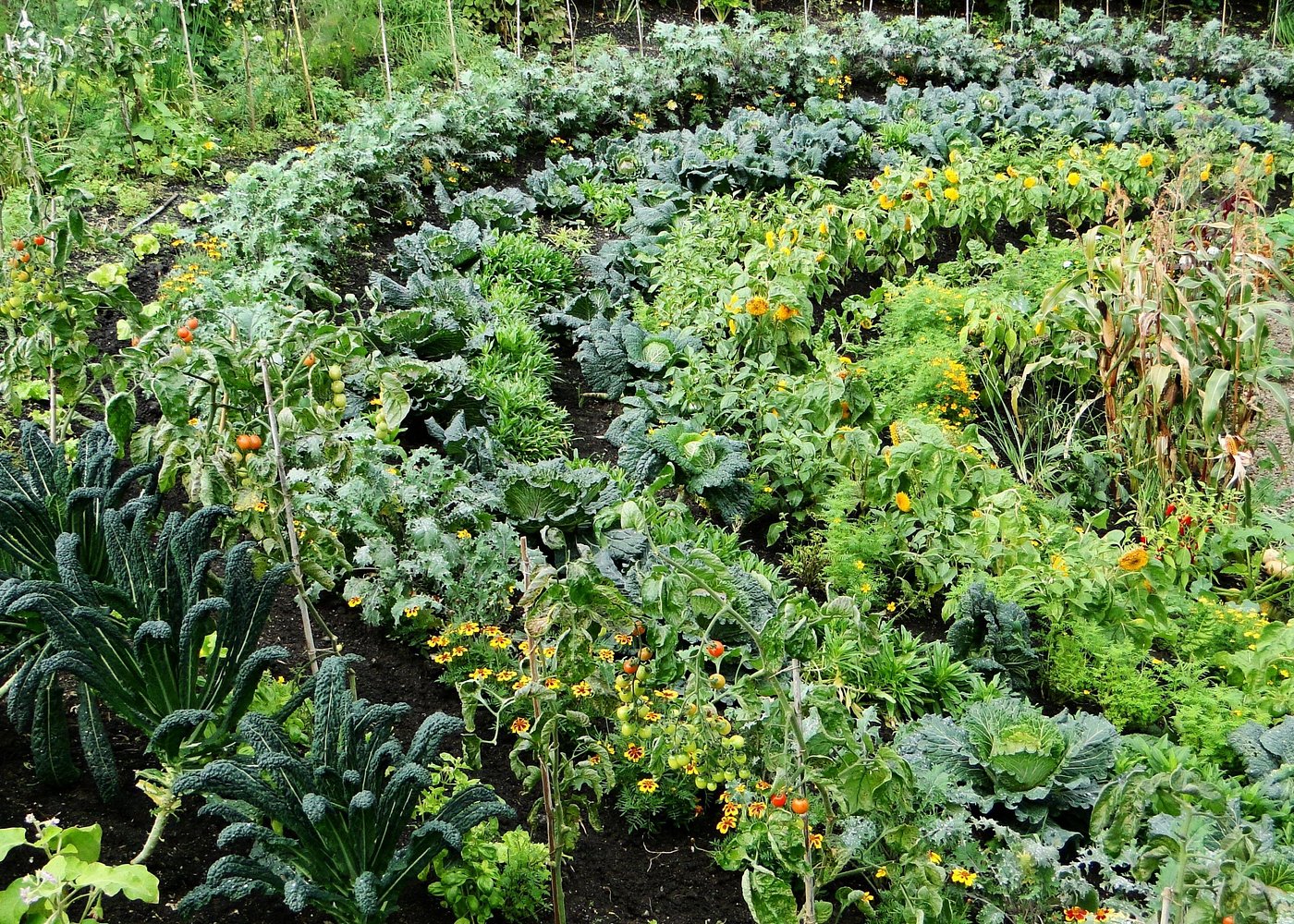 Davao Eden Nature Park Tour with snacks (6hrs)