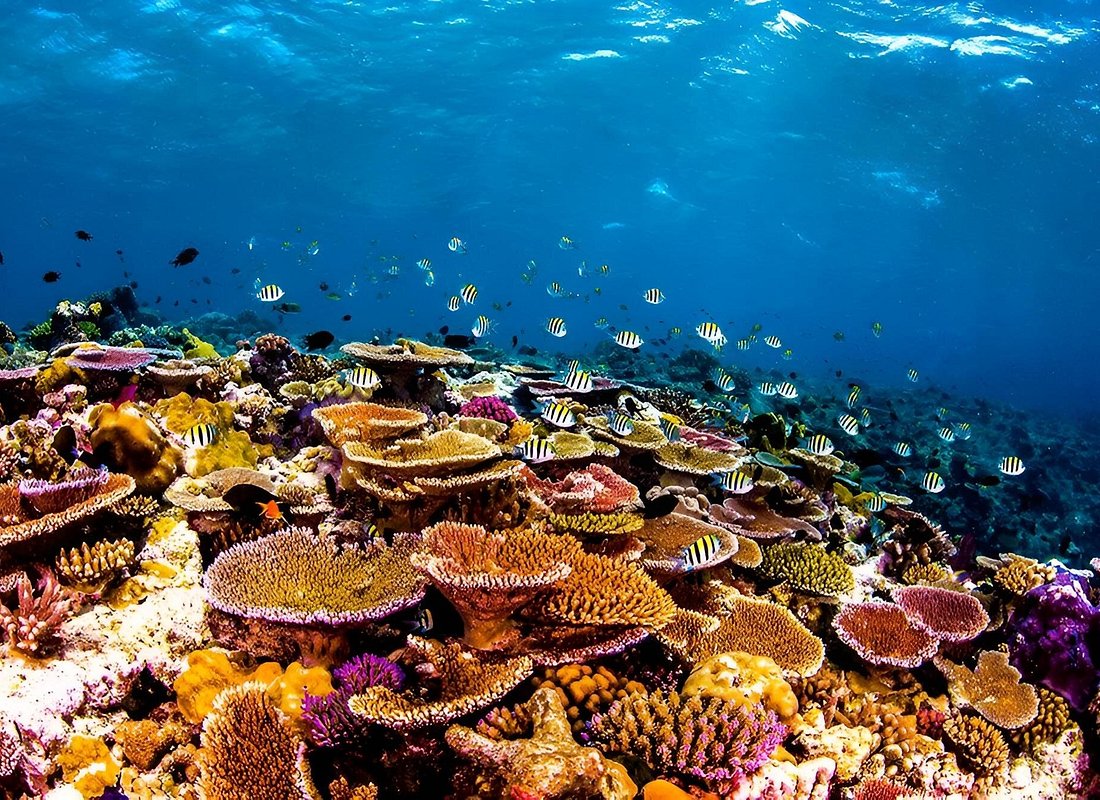 Beach Holiday in Samal Islands (8 Hours)