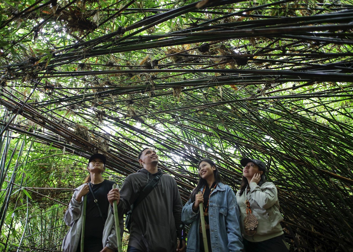 LEYTE-Mahagnao Lake Tanguile Trail and Forest Bathing