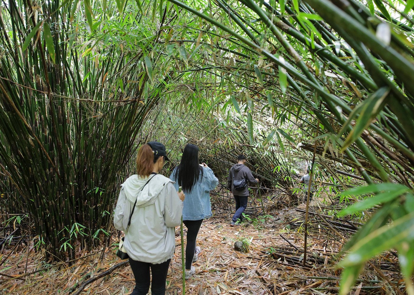 LEYTE-Mahagnao Lake Tanguile Trail and Forest Bathing