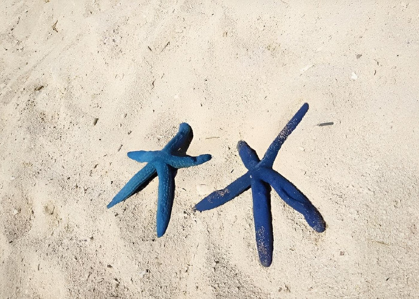 Private Island Hopping in Cuatro Islas Leyte