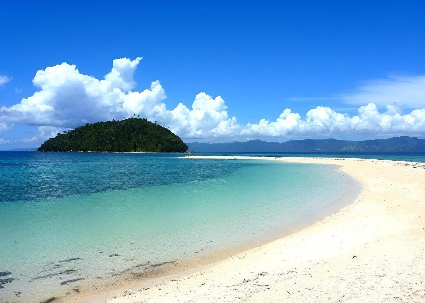 PUERTO GALERA Island Hopping & Snorkeling