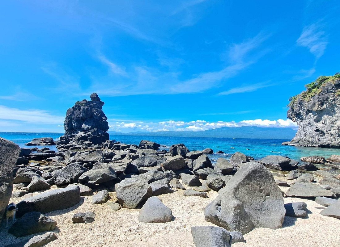 Full Day Apo Island Tour from Dumaguete