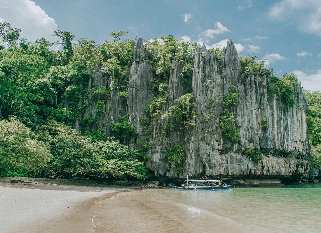 3-in-1 Adventure: Underground River, Zipline ride, and Mangrove Forest Tour