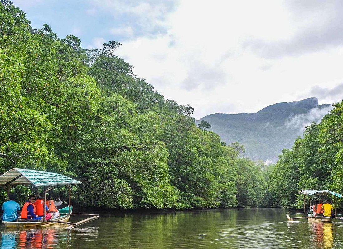 3-in-1 Adventure: Underground River, Zipline ride, and Mangrove Forest Tour