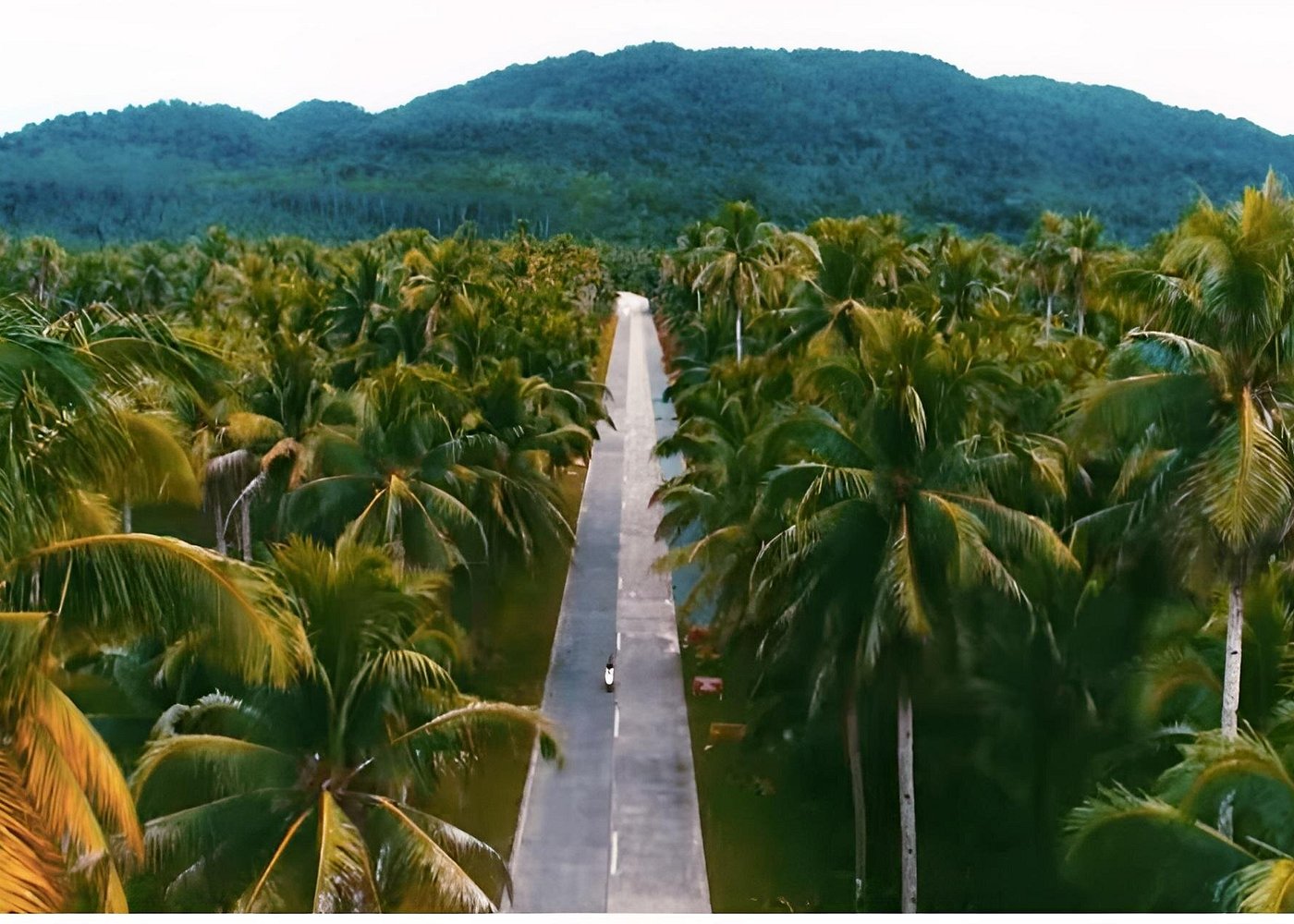 Siargao Island Hopping & land Tour