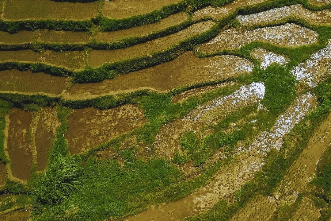 Full Day Private Exclusive Tour of Anda in Bohol