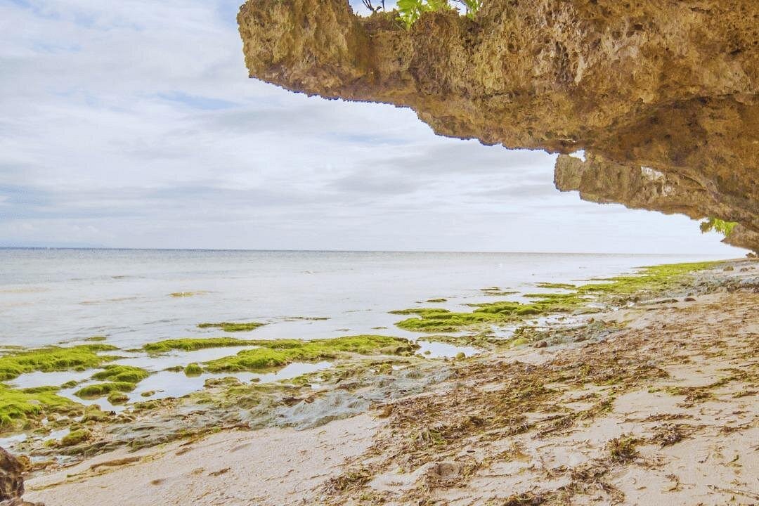 Full Day Private Exclusive Tour of Anda in Bohol