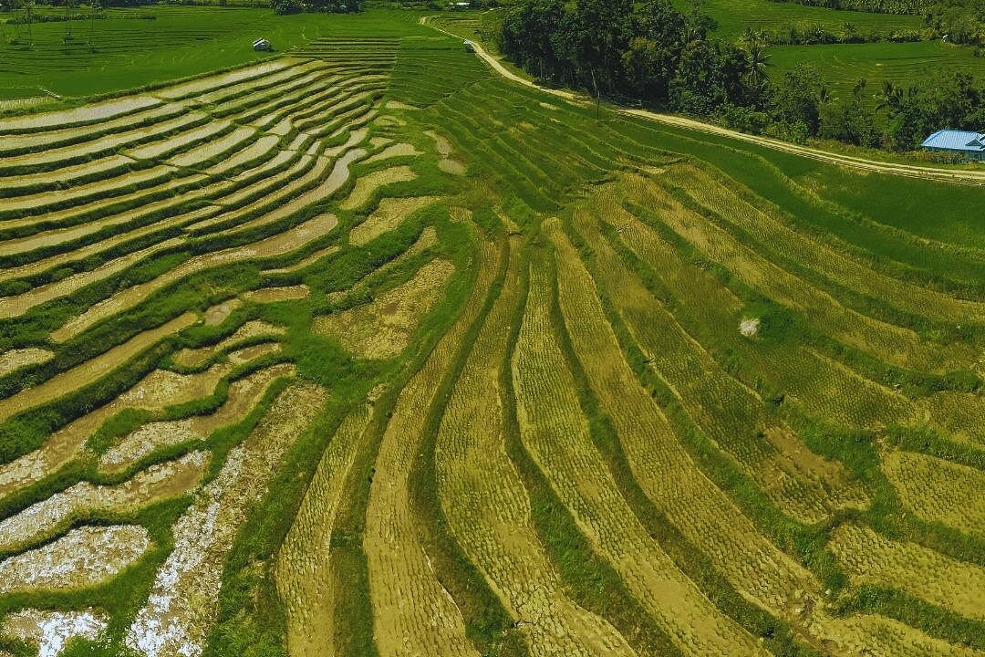 Full Day Private Exclusive Tour of Anda in Bohol