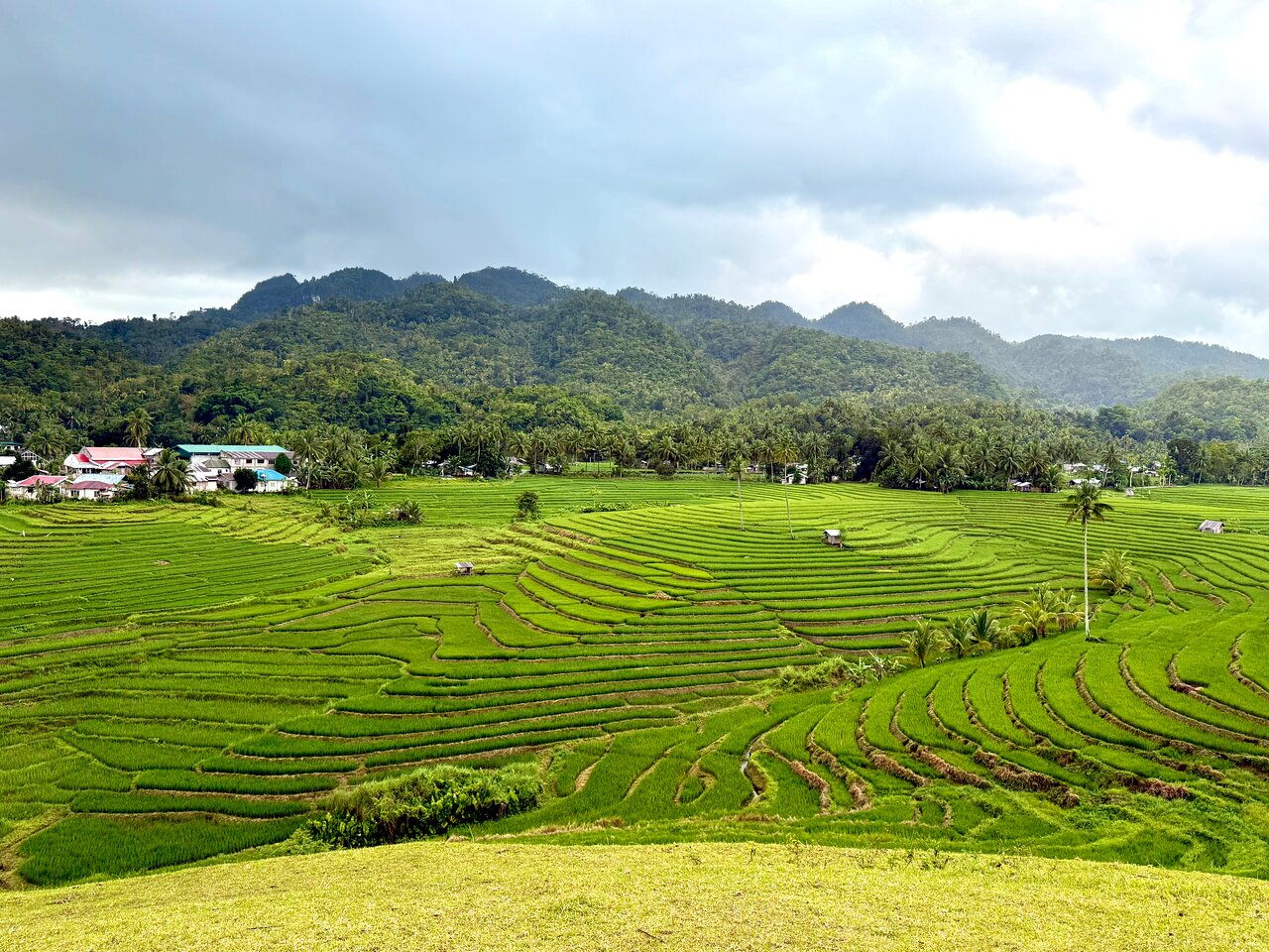 Bohol Alicia Panoramic Park