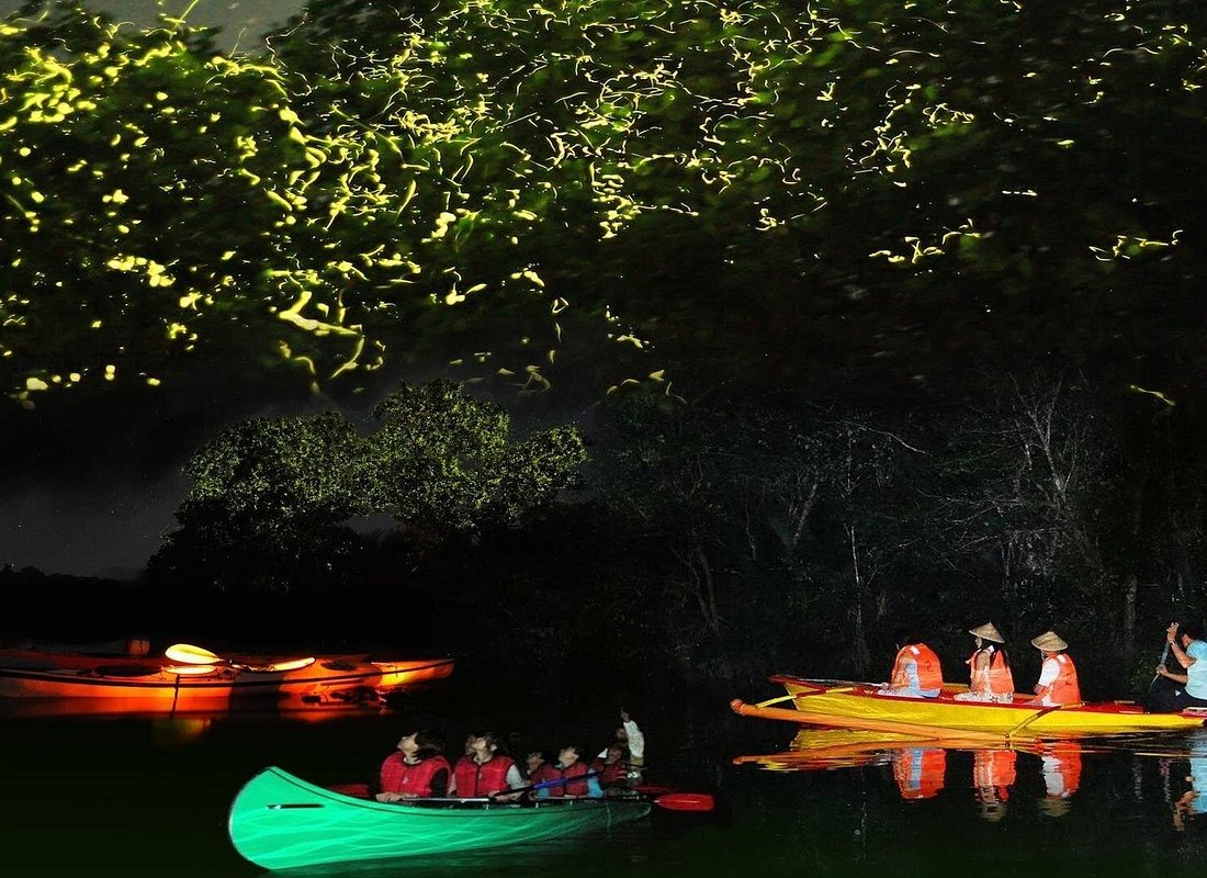 Bohol Firefly Watching (Private)