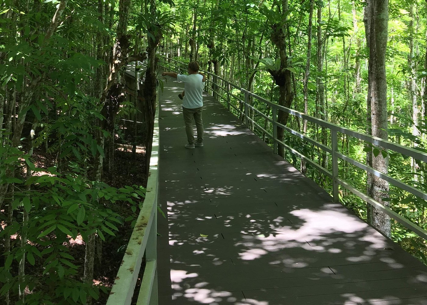 Cebu Safari and Adventure Park