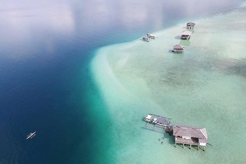 Dumaguete Dolphin Watching & Manjuyod Sandbar