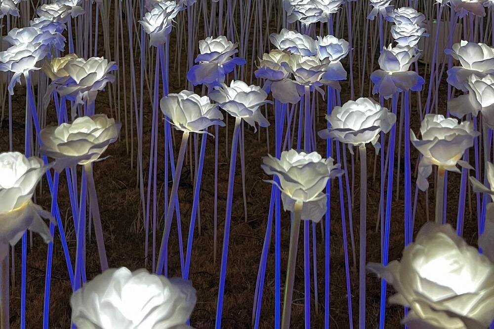 Cebu: Cebu City and Mactan Island Private Full-Day Tour