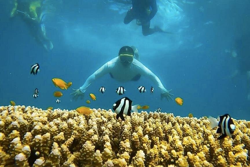 3D2N Premium Cebu City Tour and Moalboal for 9 persons