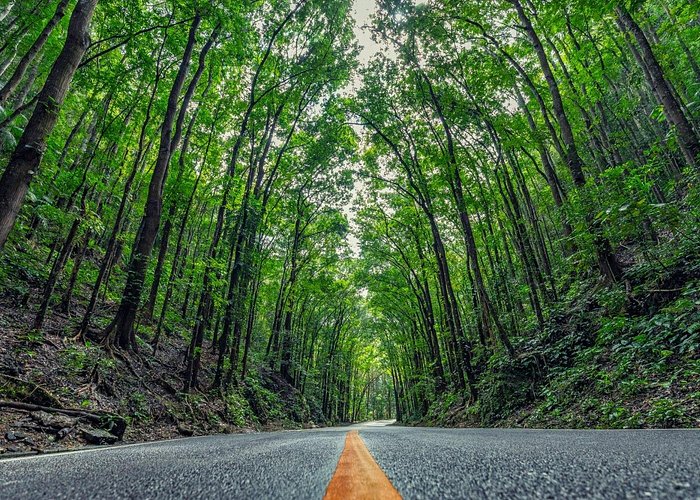 3D2N Premium Bohol Countryside Tour for 8 persons